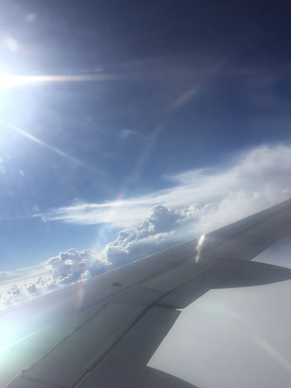 73D979B2-9EC7-4FD6-AD0C-AC2ABF9007D3.jpeg