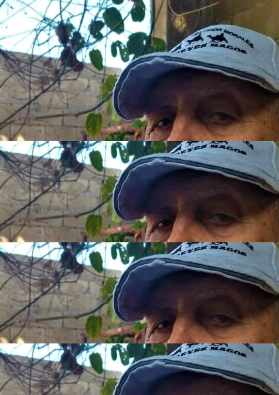 Diseño sin título (3).png