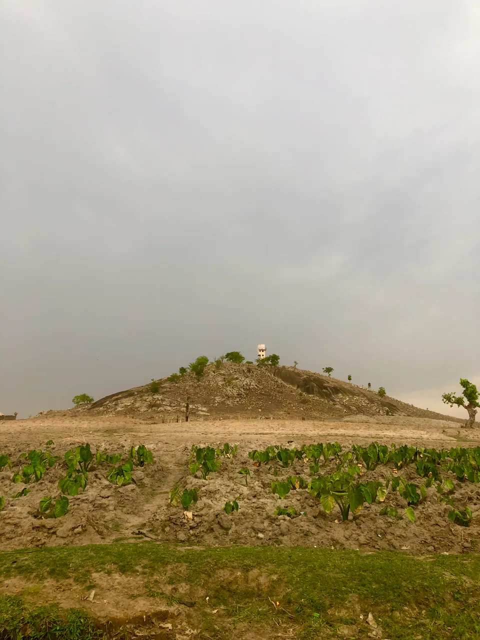 60767B02-5F0F-471B-96E7-1D353040E708.jpeg