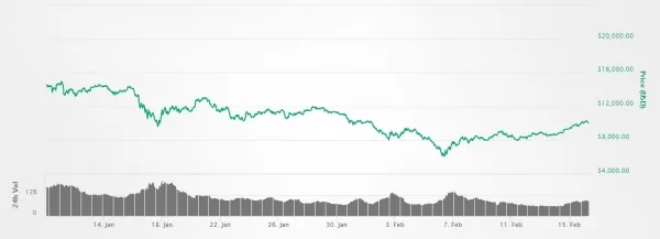 Bitcoin-price-drop-and-rally-600x217.jpg
