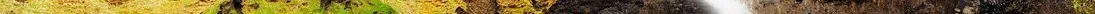 foss_a_sidu_by_somadjinn-dbe4sky 2.jpg