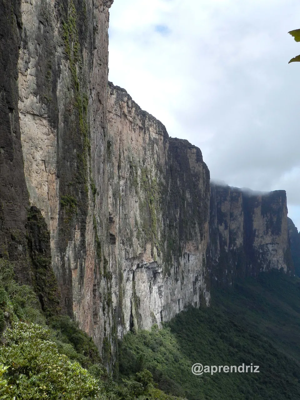 Majestuoso Tepuy Roraima copia.jpg