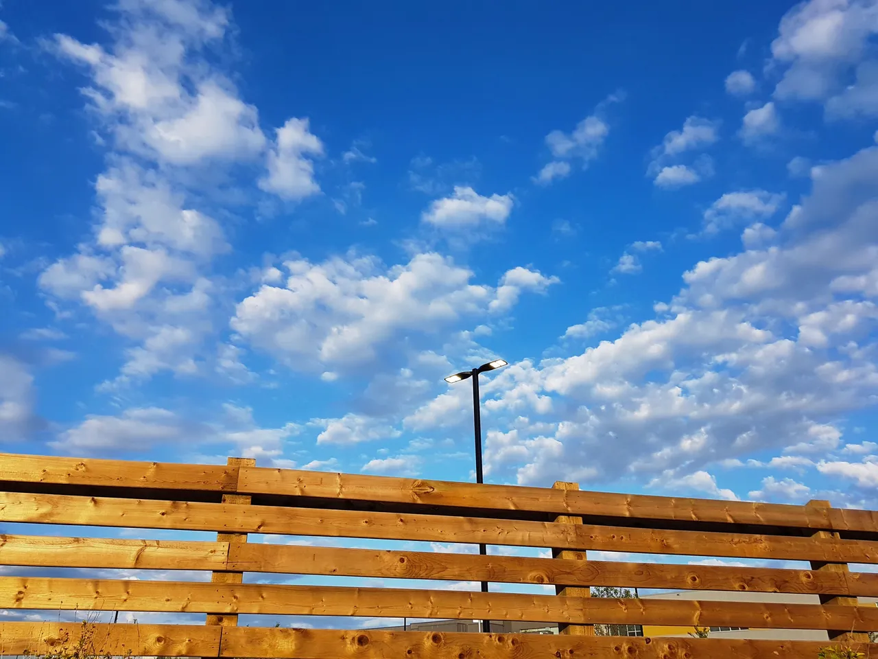 7F990F27-72D4-4049-8336-5B9DE63EB7D4.JPG