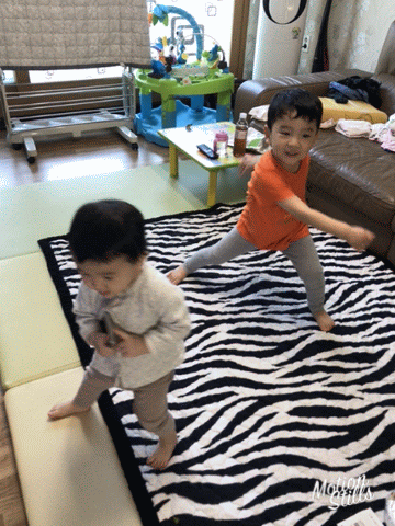 0B5251E5-7FD2-41B0-9DAE-5C8A2F5634B3.gif