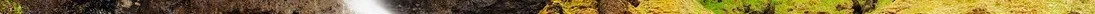 foss_a_sidu_by_somadjinn-dbe4sky 3.jpg