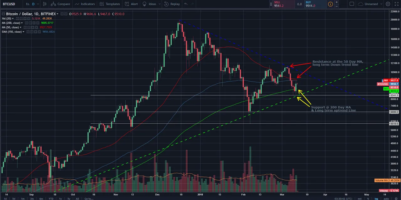 BTCUSD Daily Log Chart 12_03.PNG