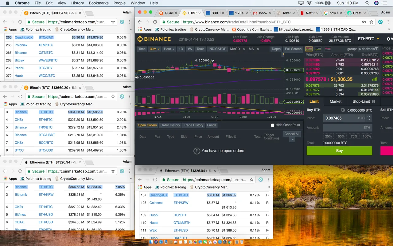 Screen Shot 2018-01-14 at 1.10.49 PM.png