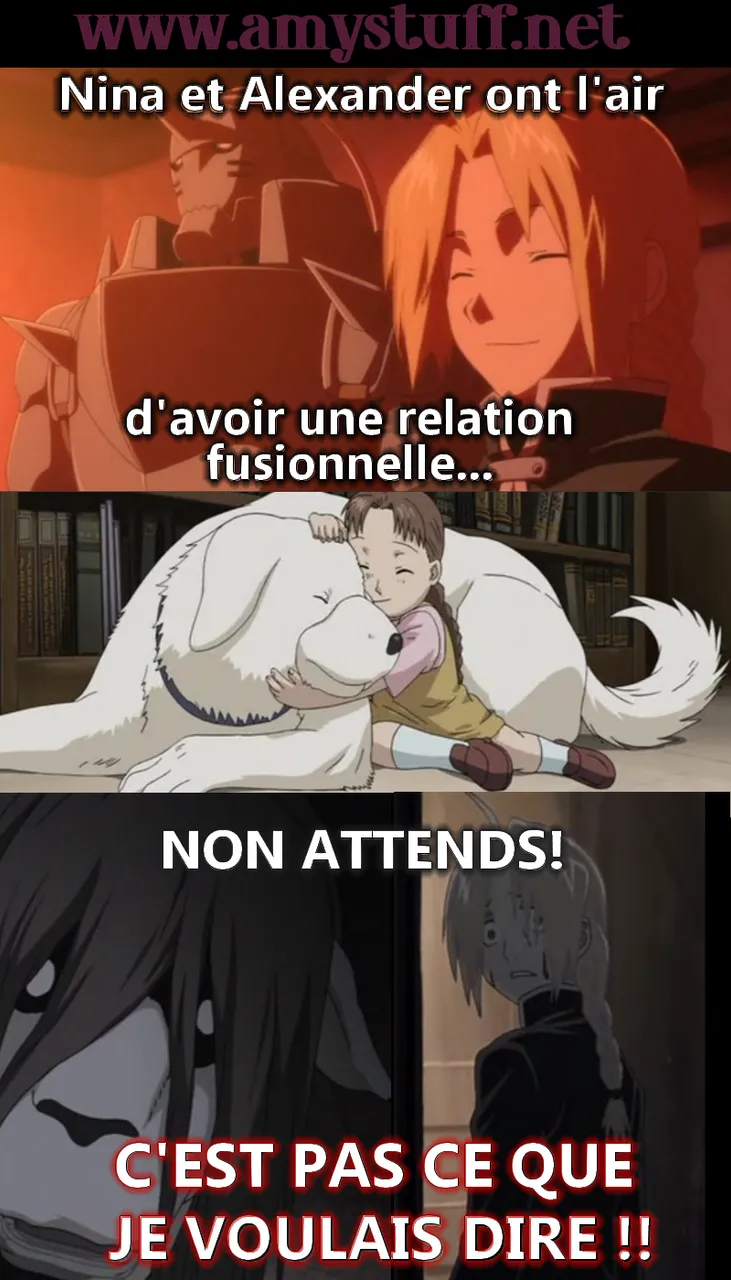 alexander_nina_fmab_meme_fusionnelle.png