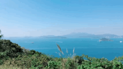 743A9632-DD16-465A-81B6-75BF2638E245.gif