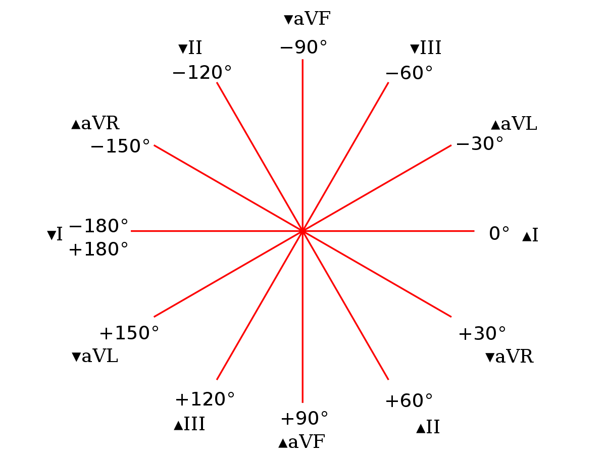 1200px-Hexaxial_reference_system.svg.png