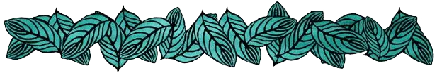 CF8E247C-DB5A-4488-B067-B4D0EE6CC85E.png