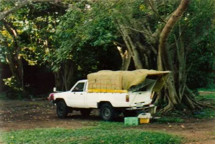 Vehicle0005 Gordonvale Qld (2).jpg