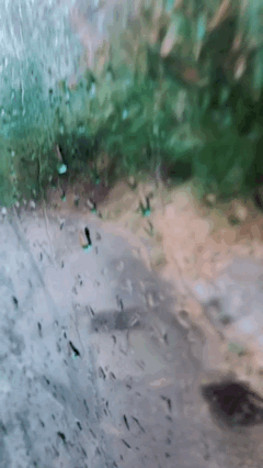 D7574D65-1287-4B9C-8EF4-6ED2545381D7.gif