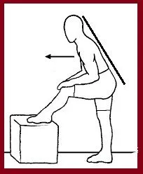 Stretch with a neutral spine.jpg