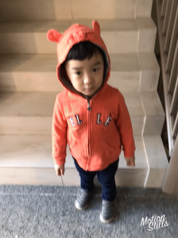 9150ADE0-9CE3-4B11-9904-CFED75235109.gif