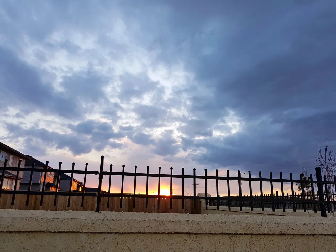 A2A50D94-746F-47ED-90A1-8B0A0D3E550A.JPG