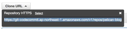 aws_codecommit_https_address_pelican.png