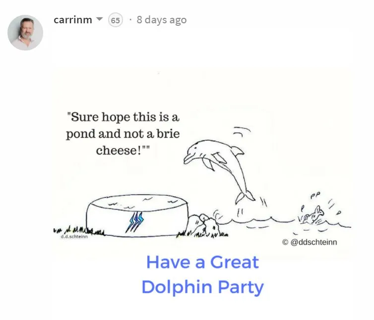 x dolphin party meme carrinm.JPG