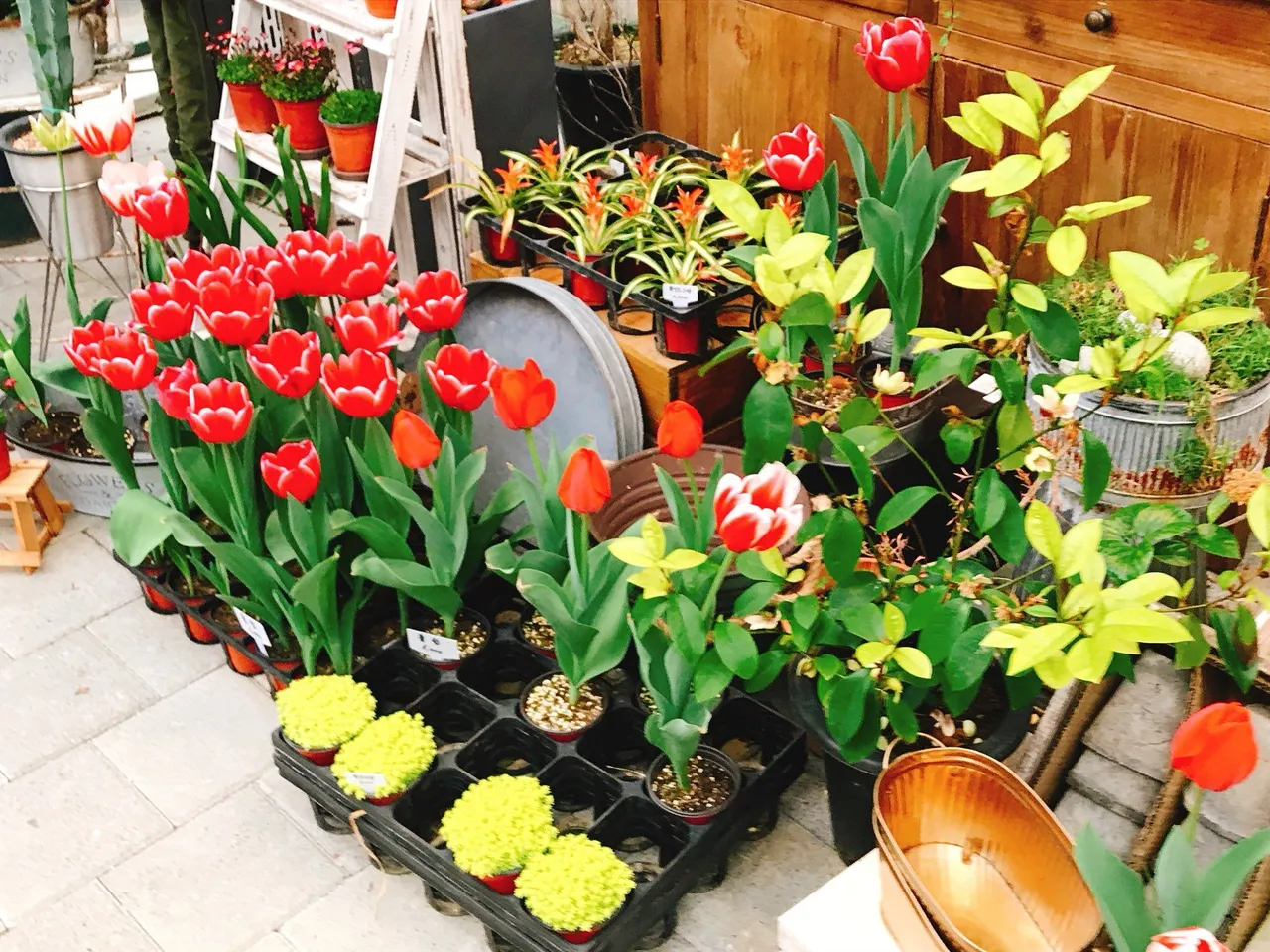 KakaoTalk_Photo_2018-04-09-18-46-28.jpeg