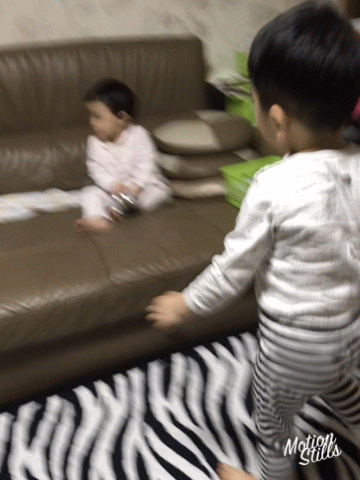 E5EA2588-321C-41D8-8E81-C5A8A488282A.gif