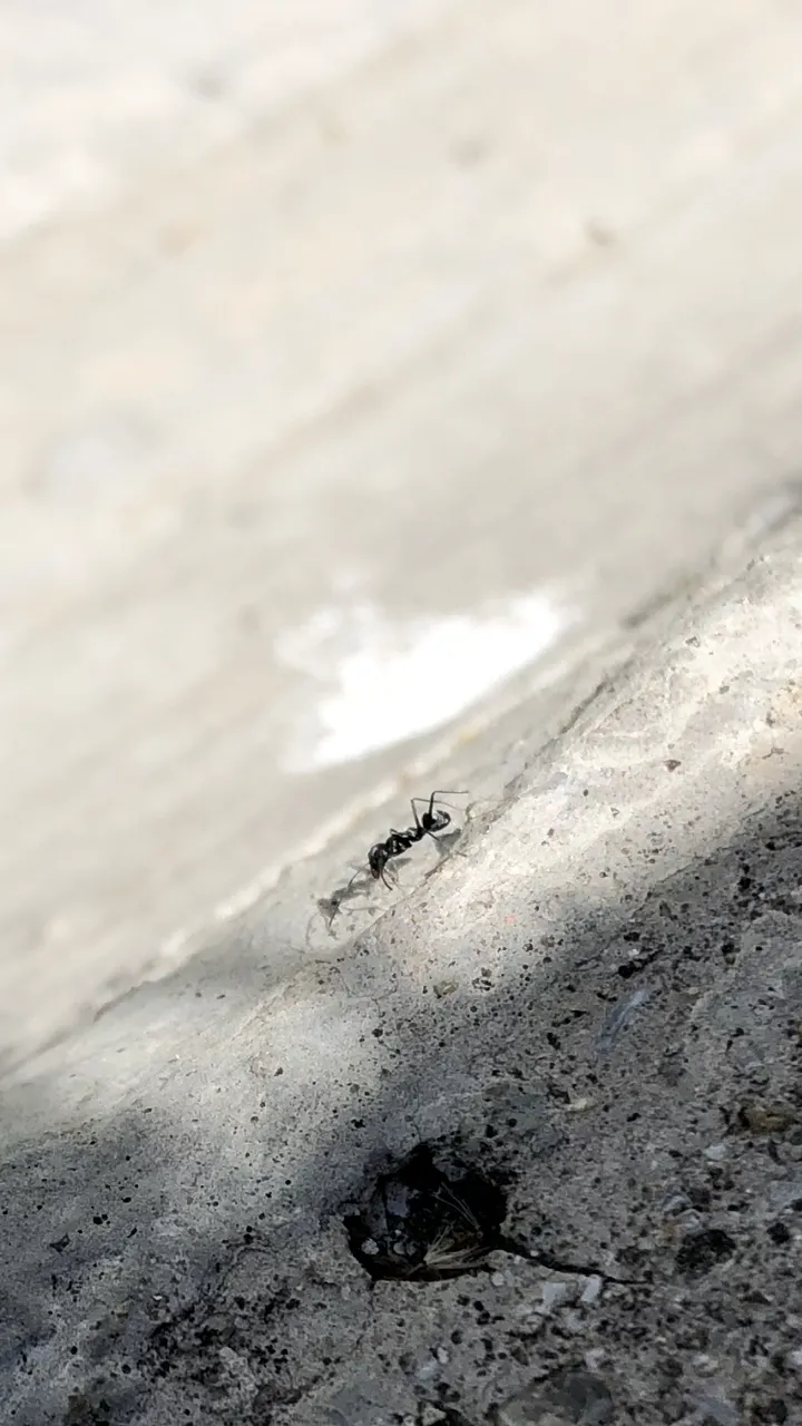 3462D412-0E0C-4694-9659-63ACE80CB2D5.png