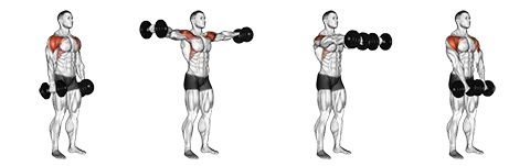 Side+Laterals+to+Front+Raise.png