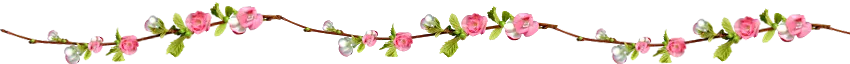 flores_png_by_parkjirimtutos-d73phhd.png