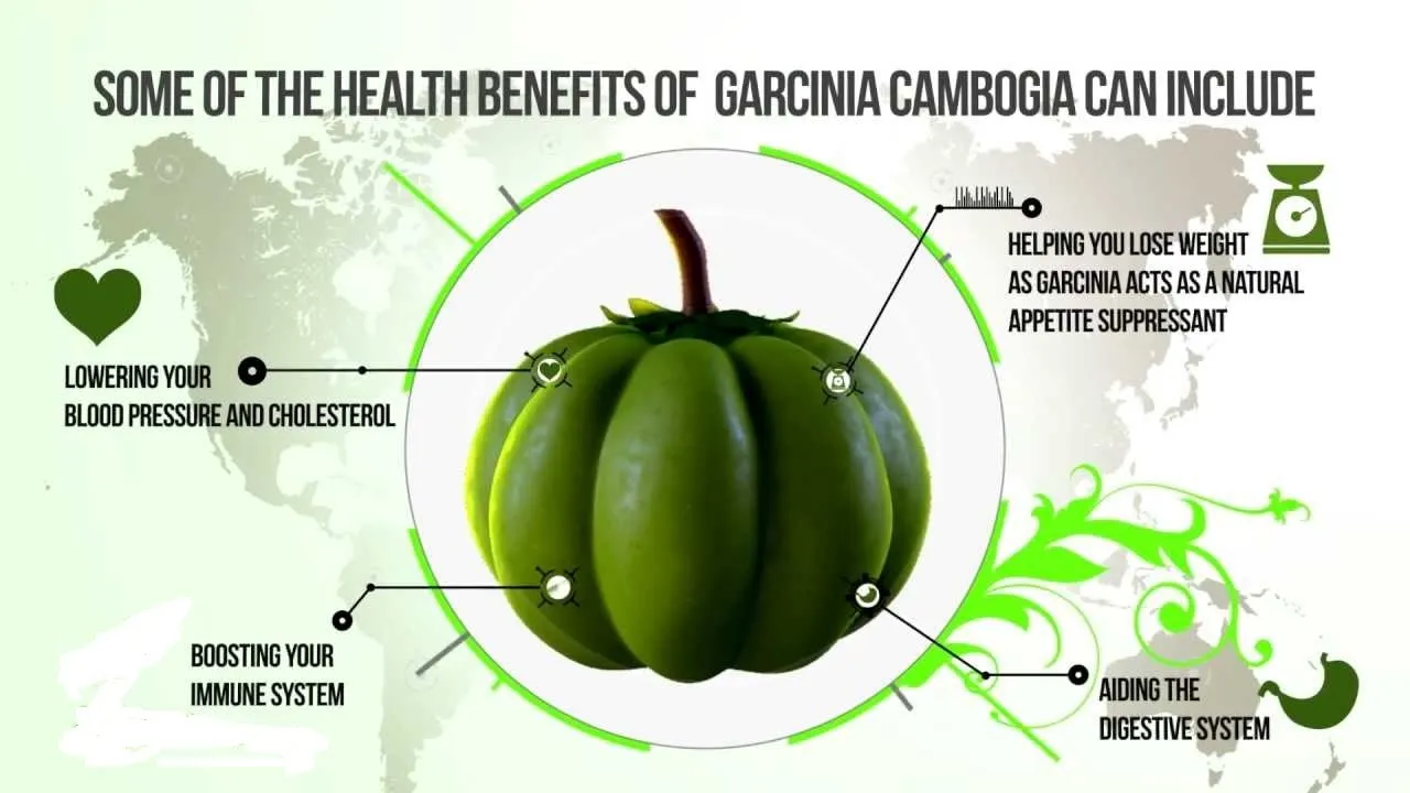 HEALTH-BENEFITS-OF-GARCINIA-CAMBOGIA.jpg