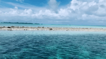 E649C96D-3999-45E1-910A-E18F397B917D.gif