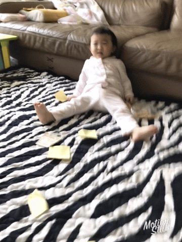 808EA731-A16E-4BAD-A725-4350CDF0E54E.gif