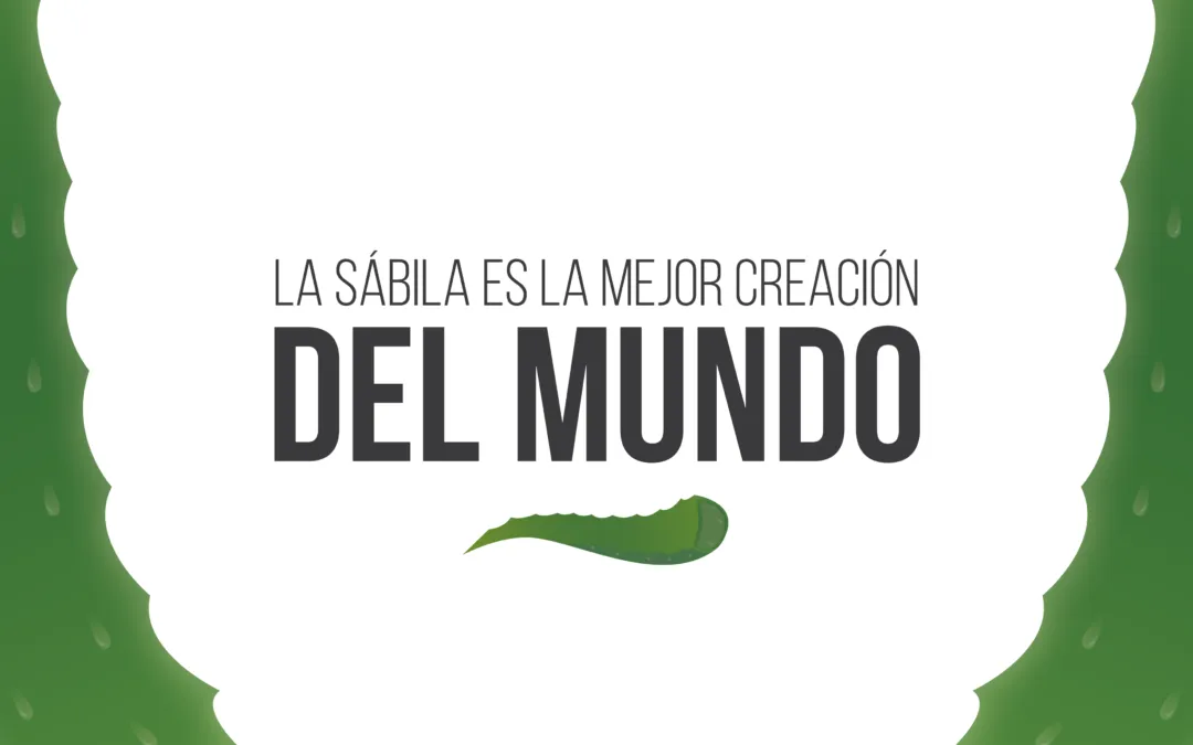 D6B53DC7-340E-4D03-9283-937A8EFE19F0.png