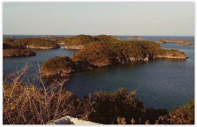 main_image