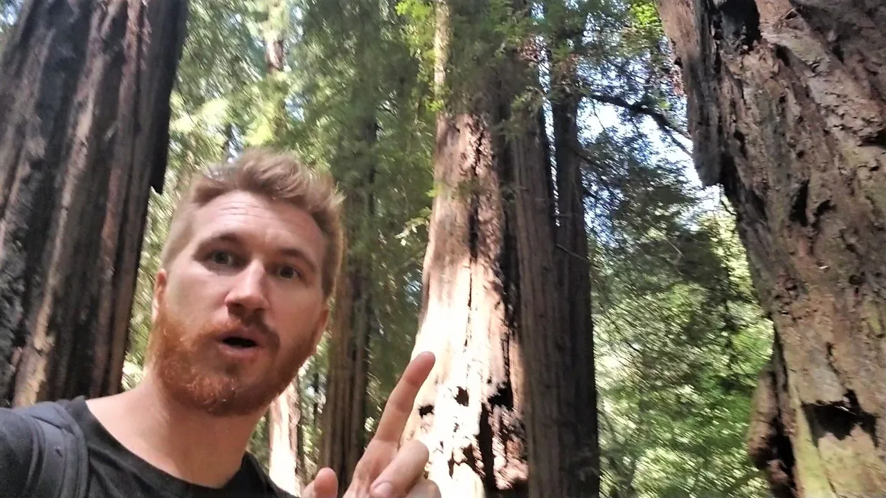 20180511_125910.00_03_35_18.Still003.jpg