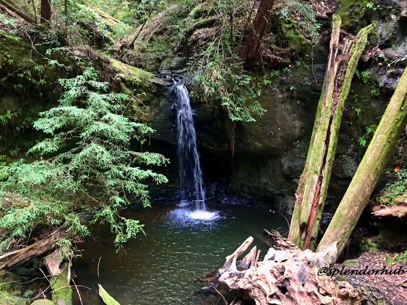 @splendorhub Semperviews falls.JPG