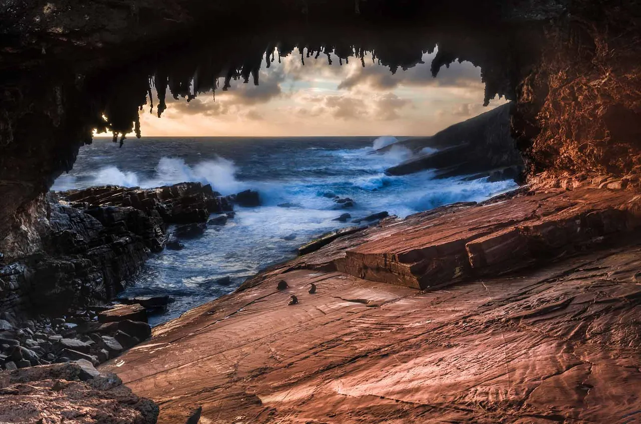 Admirals Arch, Kangaroo Island. Photo Source - South Australian Tourism Commission