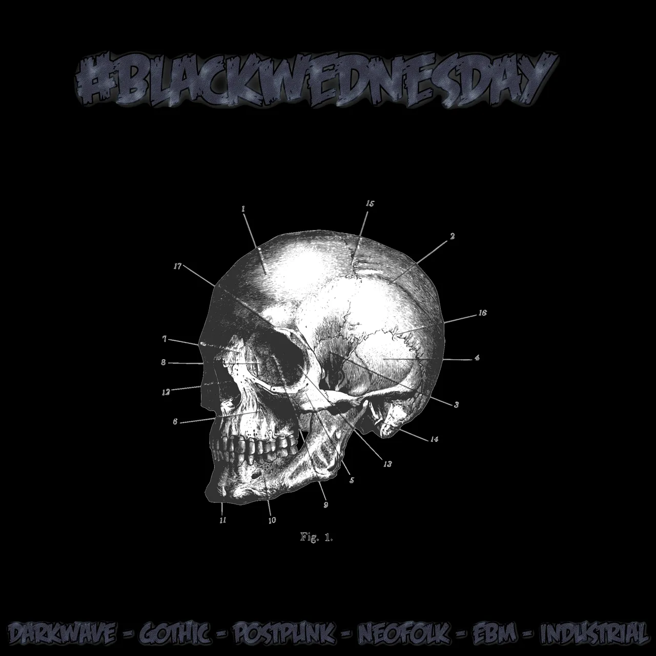 Darkwave - Gothic - Postpunk - Neofolk - EBM - Industrial blackwednesday by pizzaboy77 STEEM it.png