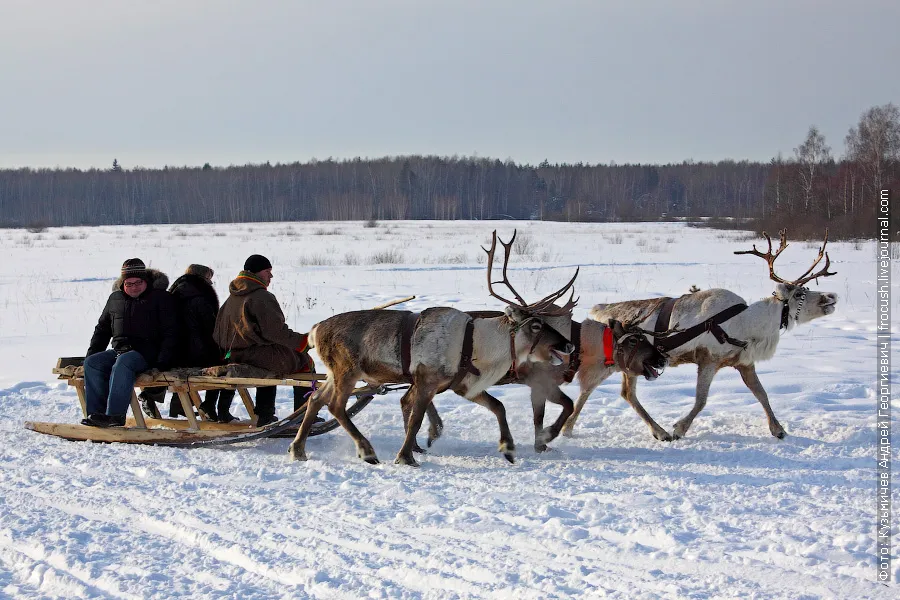 Sledding