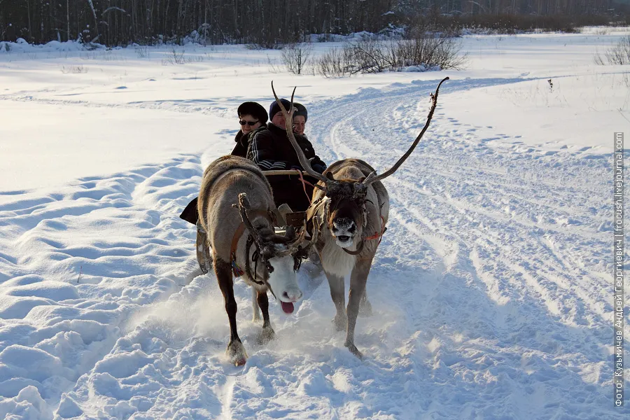 Sledding