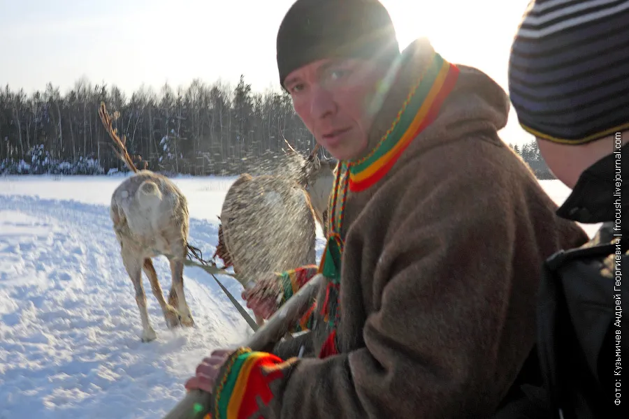 Trip on sleds, harnessed by reindeer