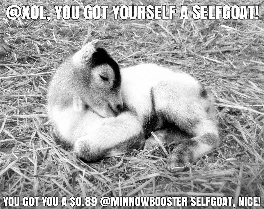 @x0l got you a $0.89 @minnowbooster upgoat, nice!