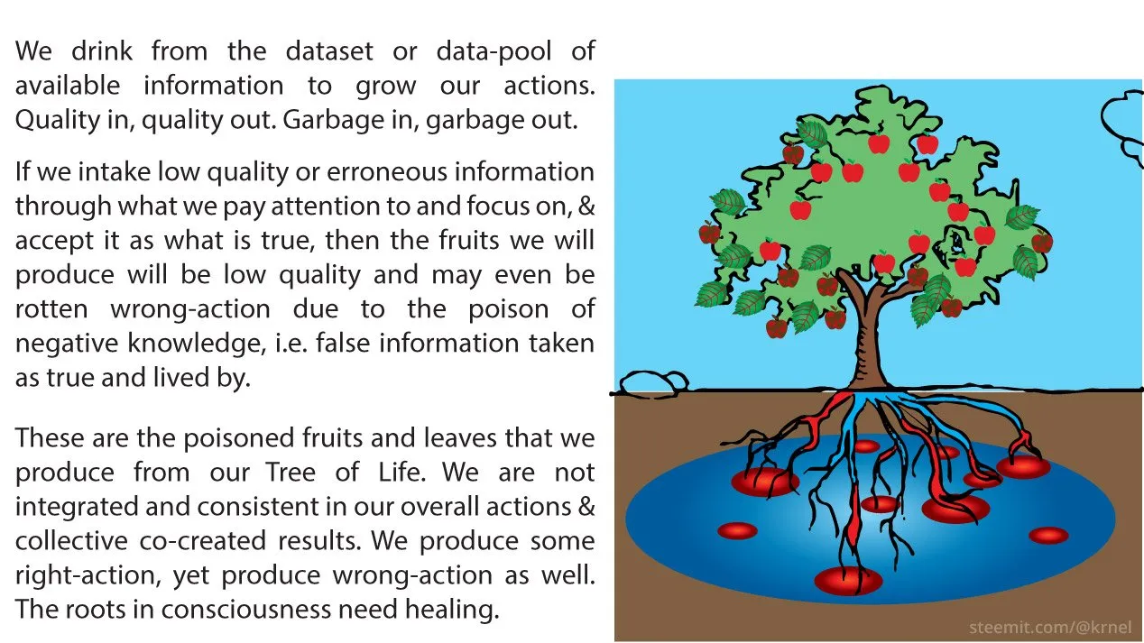Tree-of-Life-quality66d9df2.jpg