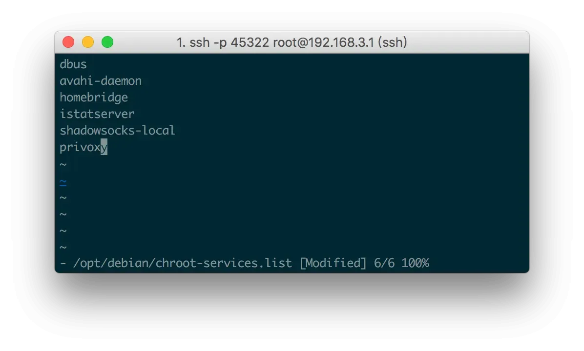 debian chroot 服务列表