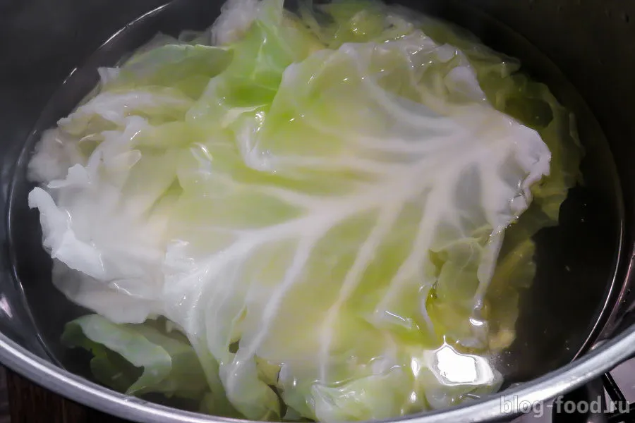 Classic cabbage rolls