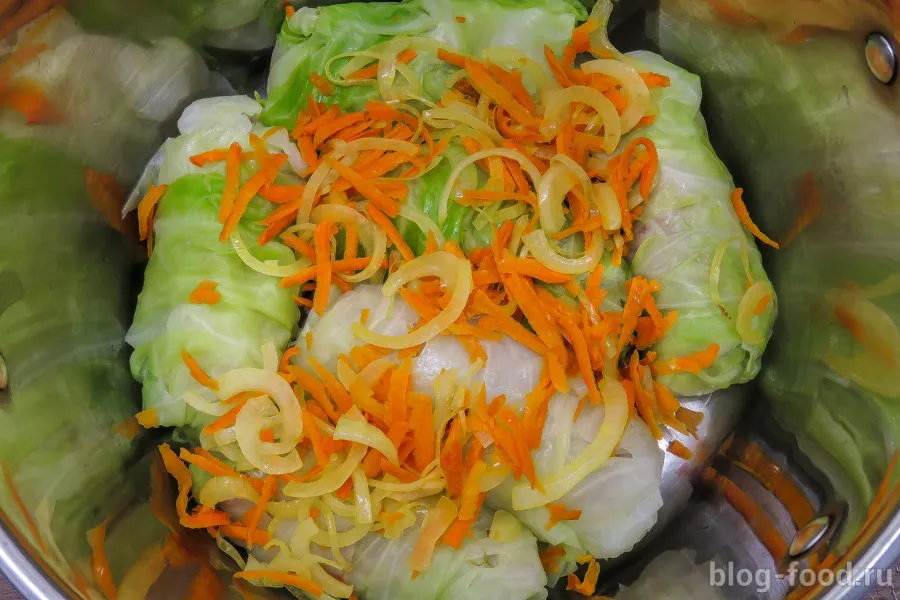 Classic cabbage rolls