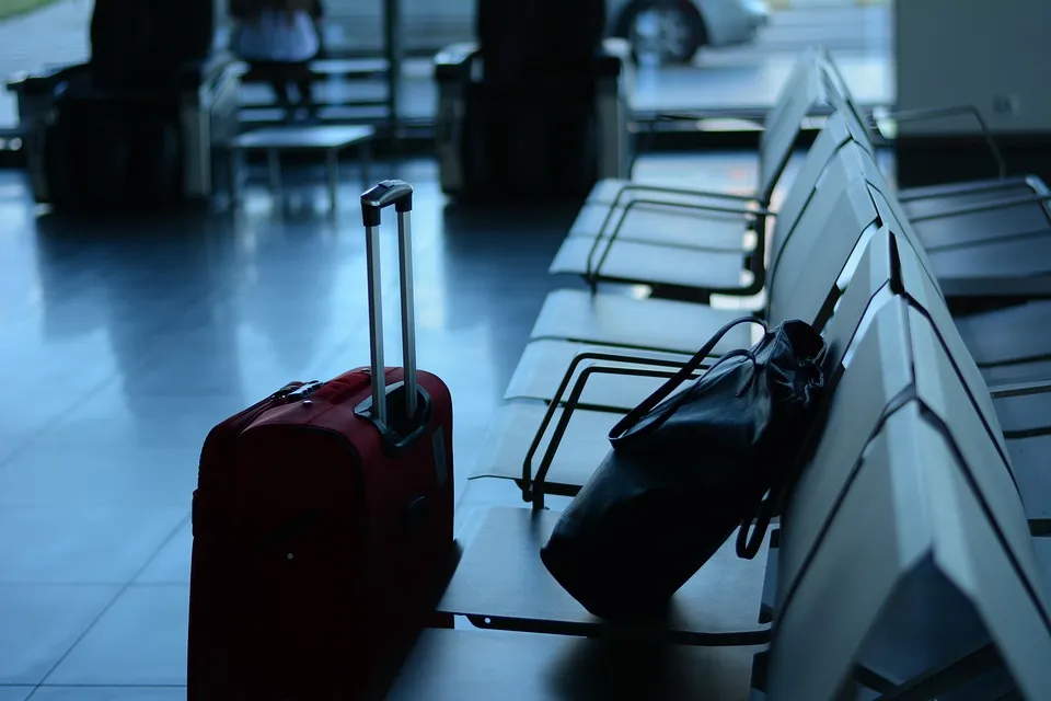 Airport, Travel, Traveler, Business, Suitcase