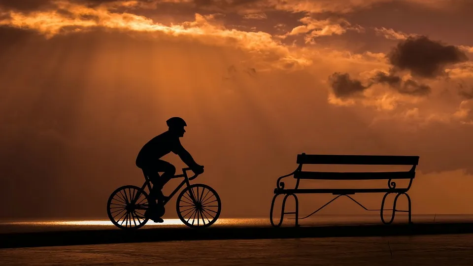 Design, Wheel, Bike, Cyclist, Transportation, Panoramic