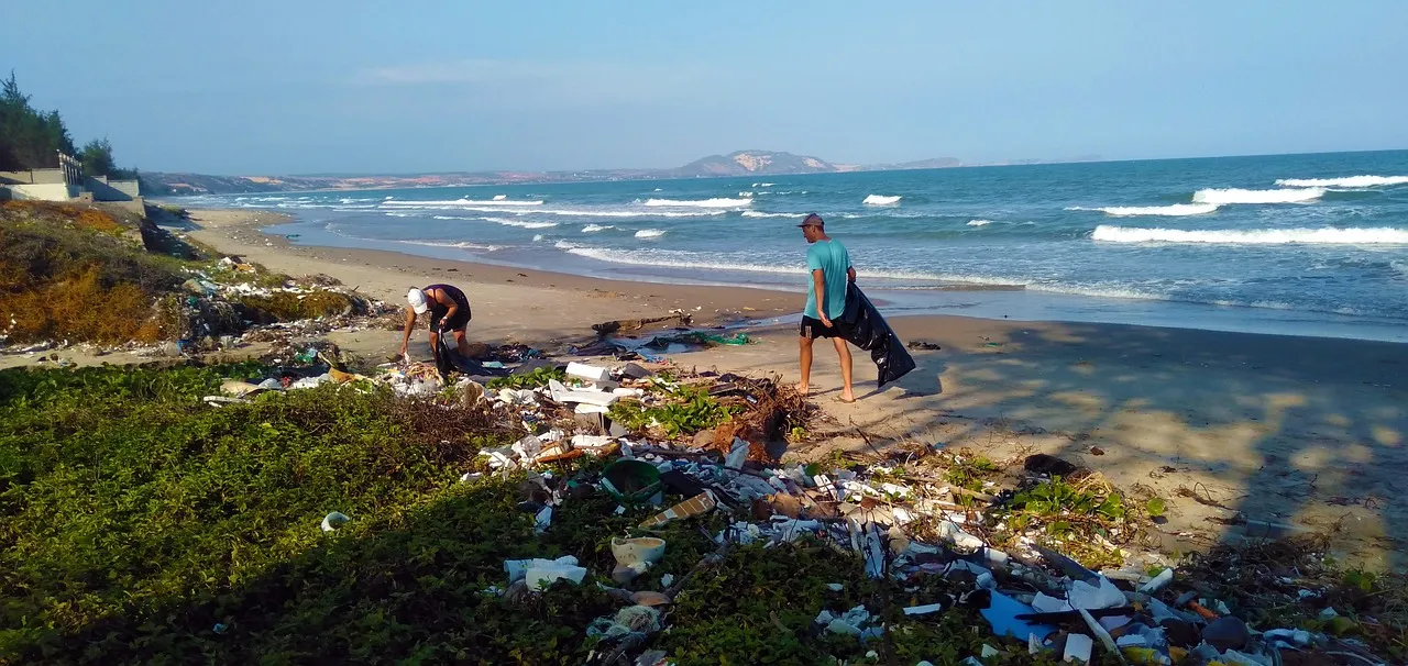 People clean up a beach.