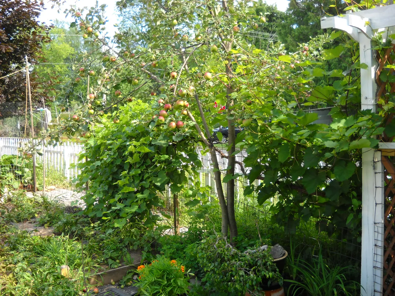 DSCN3593.JPG