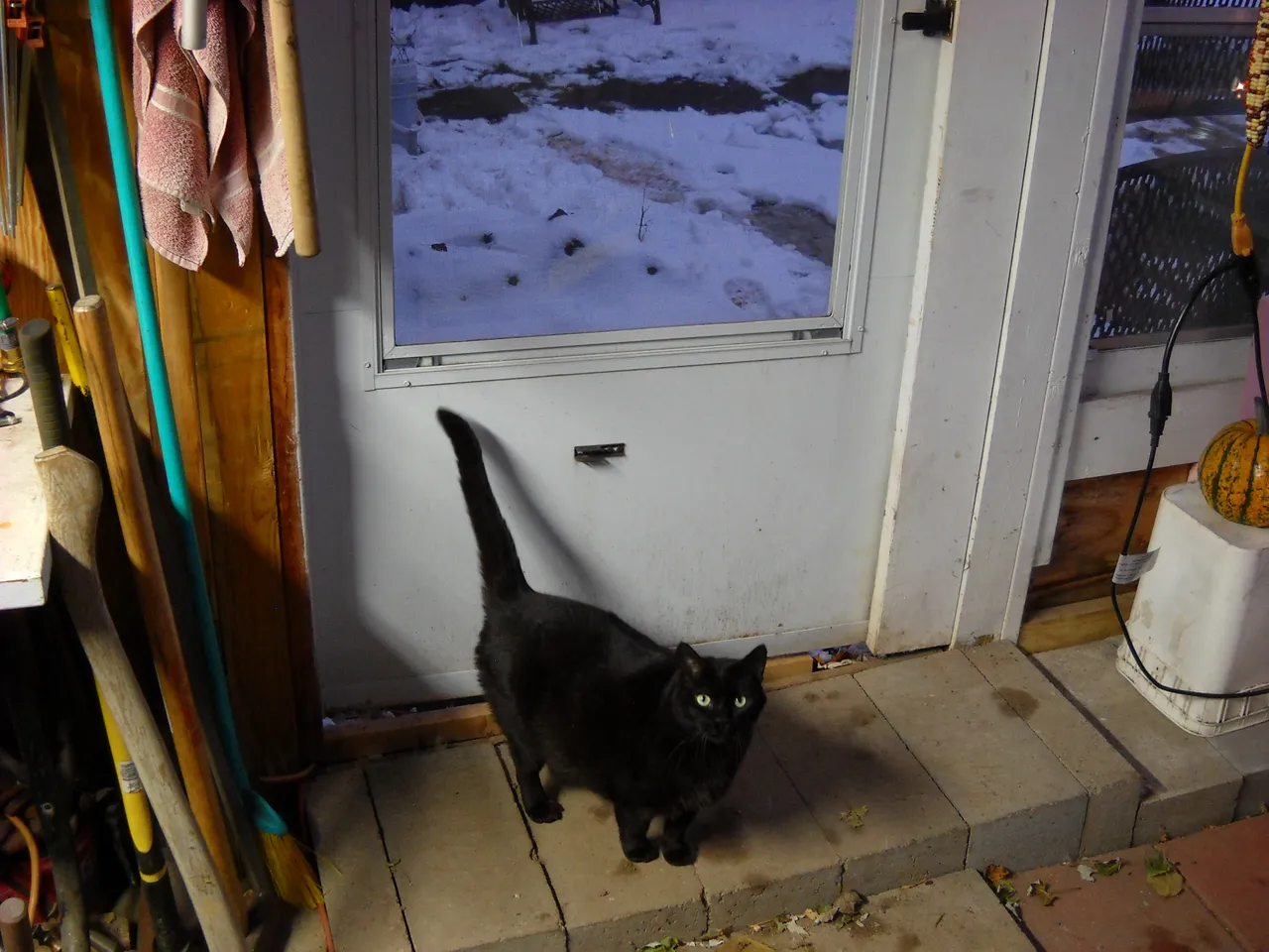 DSCN4137.JPG