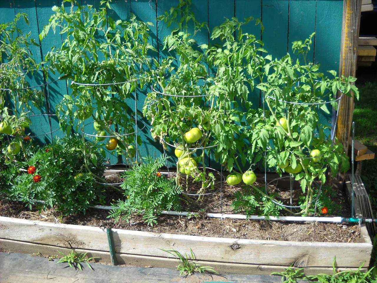 DSCN3583.JPG